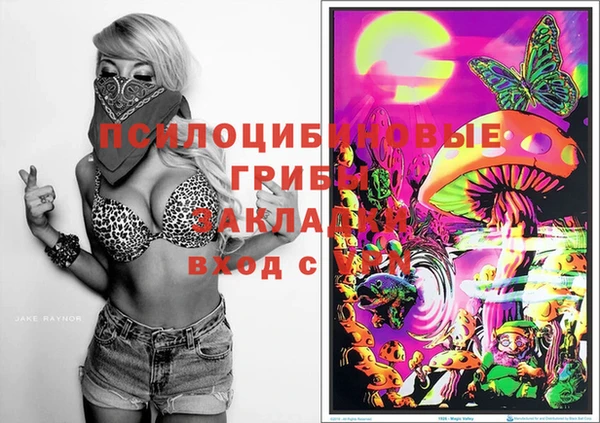 экстази Гусь-Хрустальный
