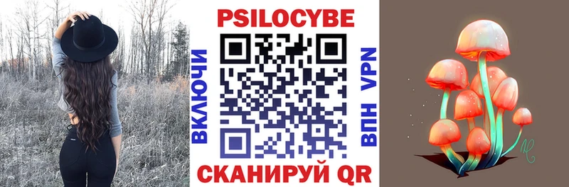Галлюциногенные грибы GOLDEN TEACHER  Купить закладки  Медынь 